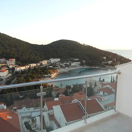 Orchidea Dubrovnik