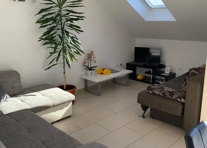 Orchidea * Dubrovnik